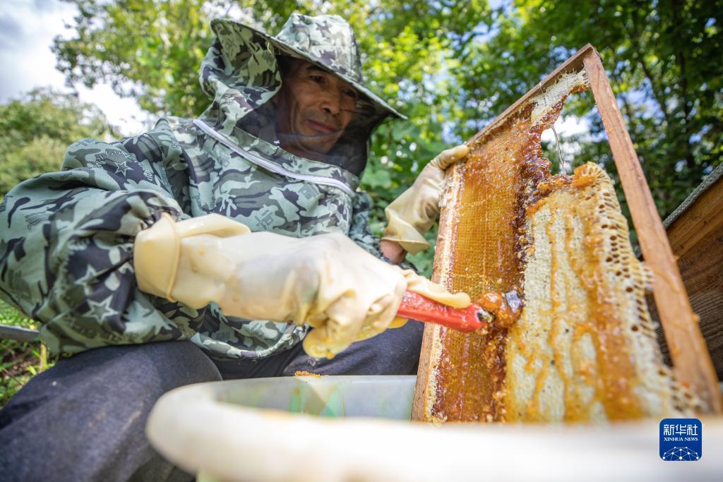 银河至尊备用网址